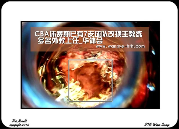 CBA休赛期已有7支球队改换主教练 多名外教上任_华体会(图4) 华体会登陆