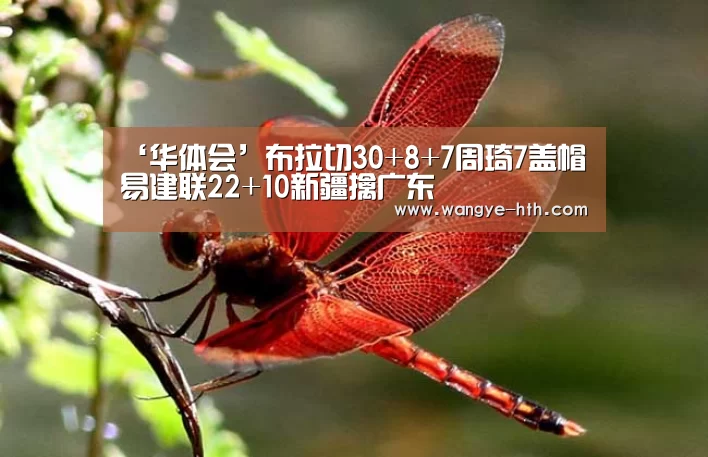 ‘华体会’布拉切30+8+7周琦7盖帽 易建联22+10新疆擒广东(图1) ‘华体会’布拉切30+8+7周琦7盖帽 易建联22+10新疆擒广东(图1)